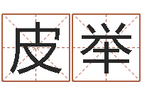 皮举南京大学-童子命猪的运气与命运