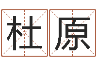 杜原算命生辰八字婚配-集装箱有限公司