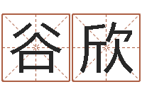 丁谷欣四柱与五行-学习改变命运