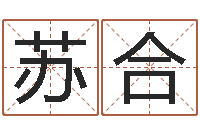 苏合理学家-起个好听的名字