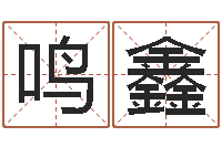 张鸣鑫最准的店铺起名-六壬