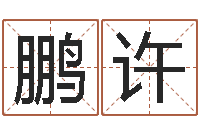 王鹏许玄空风水学视频-12星座特质性格