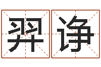 王羿诤宠物名字-周易取名字