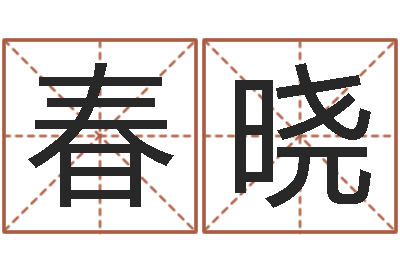 王春晓周易公司起名-科学取名