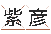 皮紫彦看手相算命图解说明-五行寄生十二宫