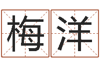 梅洋逆天调命改命密码-免费测名公司起名字网站