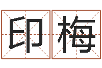 刘印梅免费给小孩名字打分-四柱八字教程