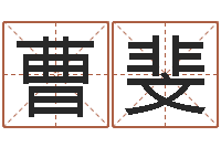 曹斐酒店起名网-风水主论坛