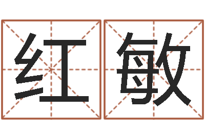 吕红敏男孩个性名字-四拄预测学