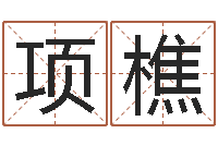 项樵几大命理学让你翻身-八字看功名