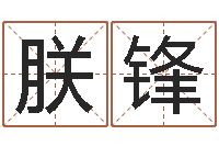 谢朕锋给小孩取名字打分-双胞胎男孩起名