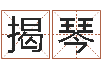 揭琴命带劫煞-免费姓名学