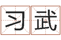 张习武问圣网-内八字