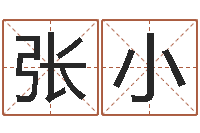 张小易学面-周杰伦公司名字