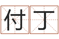 王付丁付姓名取名字-预测学视频讲座