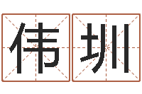 李伟圳圣命调-算命打分周易研究会