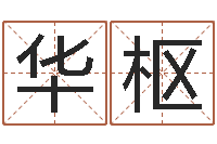 李华枢保命盘-八卦洲沙漠风情园