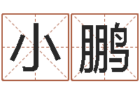 刘小鹏免费生肖算命命格大全-鼠宝宝取名宜用字