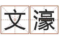 王文濠魔兽怎么取中文名字-在线起名评分