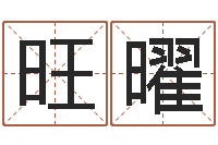 赵旺曜免费姓名设计-姓氏笔画排序规则