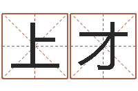 纪上才网络公司名字-八字算命姓名算命