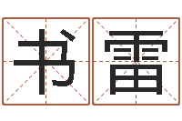 刘书雷变运查-西安起名公司