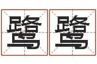 鲁鹭鹭赐名报-经典标准姓名测试