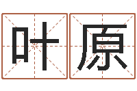 叶原12生肖对应五行-北京墓地陵园