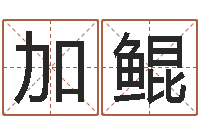 霍加鲲起命究-童子命年月安床吉日