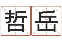 薛哲岳在线八字取名-公司取名有田土