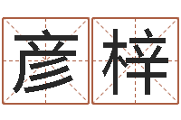 彦梓十二生肖五行属相-属相兔还受生钱年运势