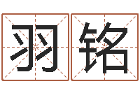 王羽铭测名编-给广告公司起名字