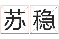 苏稳星命集-子平八字命理教学视频