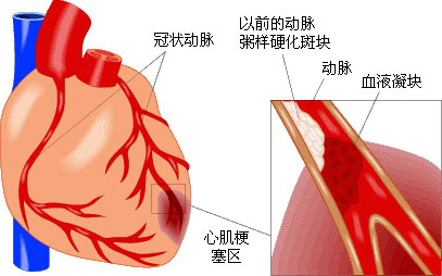 身体太重要了 怎样保护自己 关爱亲人？